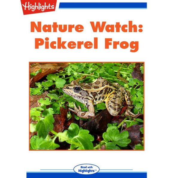 Nature Watch: Pickerel Frog; Spot the Imposter