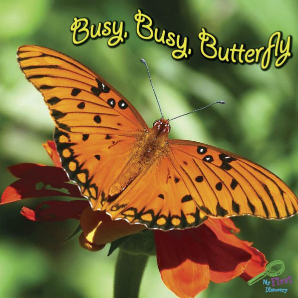 Busy, Busy Butterfly