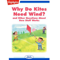 Why Do Kites Need Wind?: and Other Questions About How Stuff Works