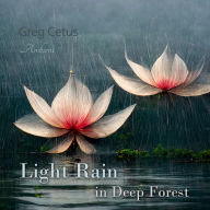 Light Rain in Deep Forest : Nature Sounds for Relaxation