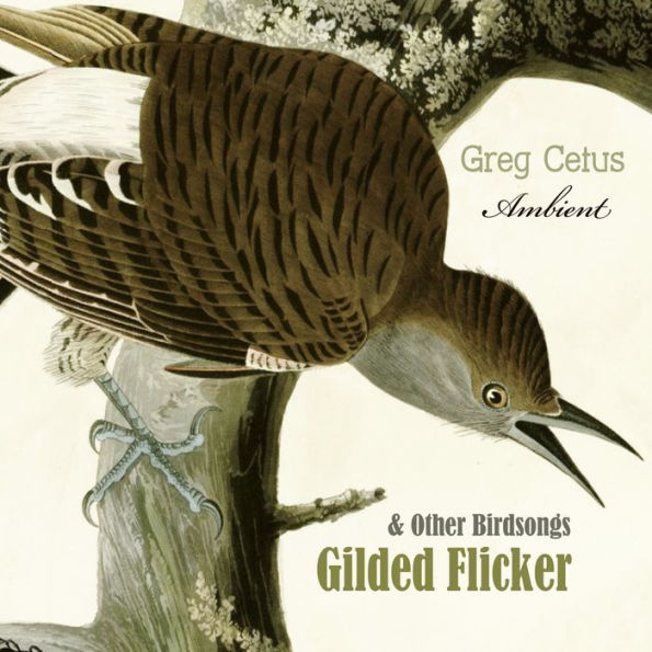 Gilded Flicker and Other Birdsongs