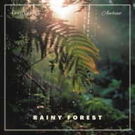 Rainy Forest : Ambient Nature Sounds