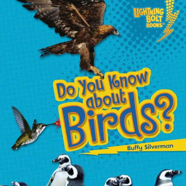 Do You Know about Birds?