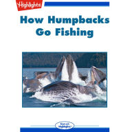 How Humpbacks Go Fishing