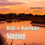 Birds of Waterways Singing