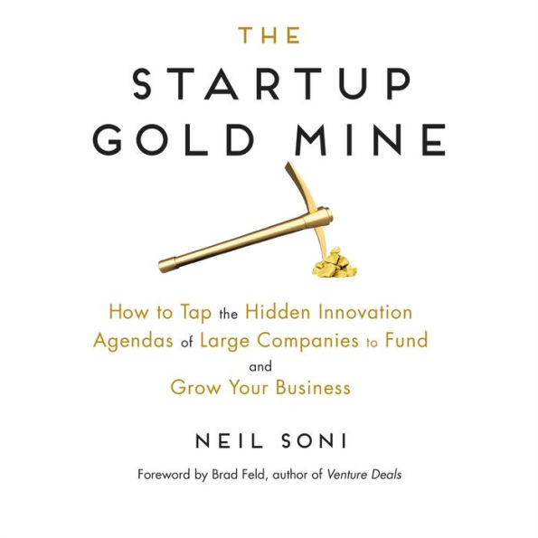 The Startup Gold Mine: How to Tap the Hidden Innovation Agendas of Large Companies to Fund and Grow Your Business