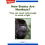 How Brainy Are Monkeys?