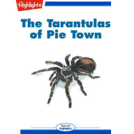 The Tarantulas of Pie Town