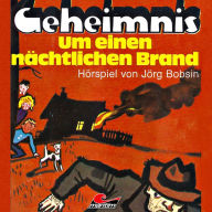 Enid Blyton, Geheimnis um einen nÃ¤chtlichen Brand