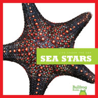 Sea Stars