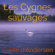 Les Cygnes sauvagess