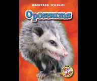 Opossums