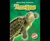 Turtles