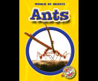 Ants