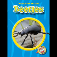 Beetles