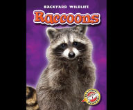 Raccoons