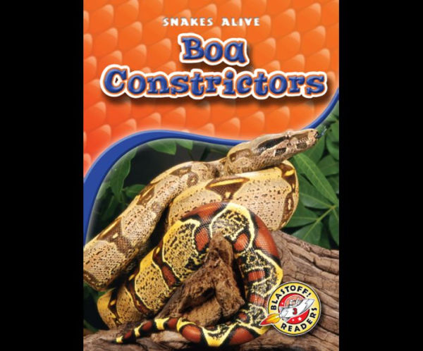 Boa Constrictors