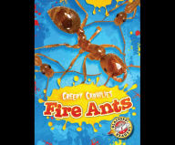 Fire Ants