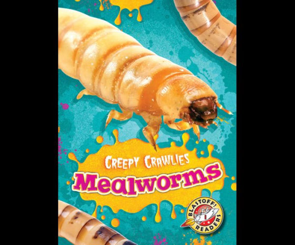 Mealworms