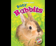 Baby Rabbits: Blastoff! Readers: Level 1