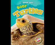 Baby Turtles: Blastoff! Readers: Level 1