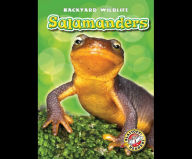 Salamanders