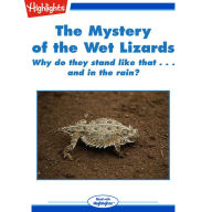 The Mystery of the Wet Lizards : Why do they stand like that...and in the rain?