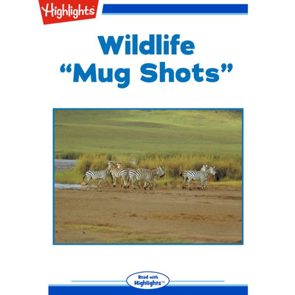 Wildlife: Mug Shots