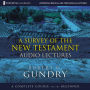 A Survey of the New Testament: Audio Lectures: A Complete Course for the Beginner