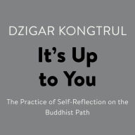 It's Up to You: The Practice of Self-Reflection on the Buddhist Path