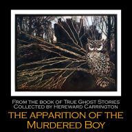 The Apparition of the Murdered Boy