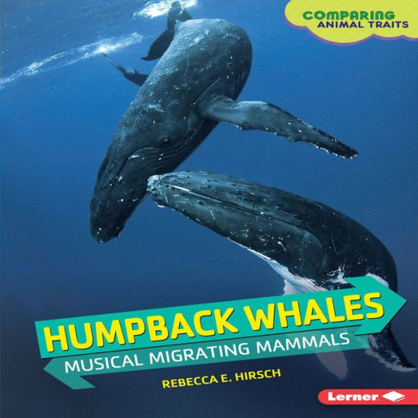 Humpback Whales : Musical Migrating Mammals