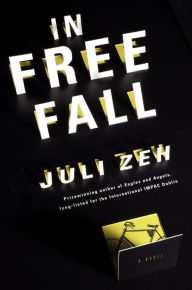 In Free Fall: A Novel