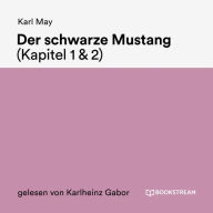 Der schwarze Mustang (Kapitel 1 amp; 2)