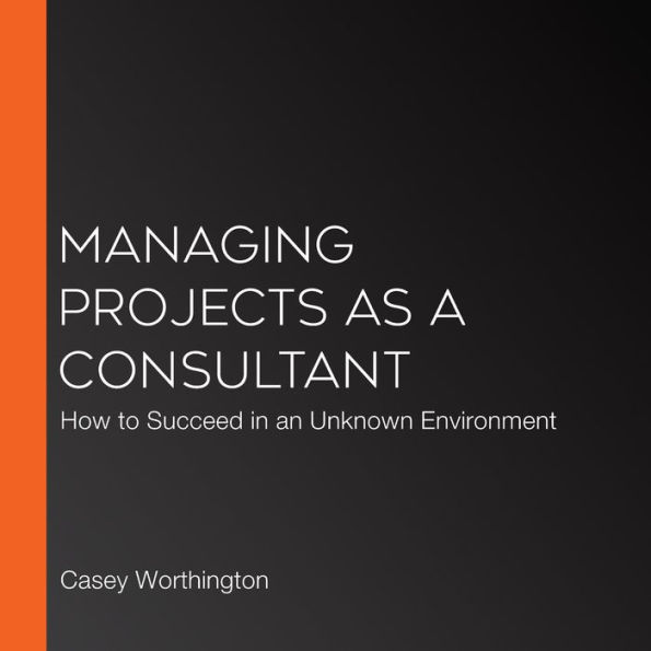 Managing Projects as a Consultant: How to Succeed in an Unknown Environment