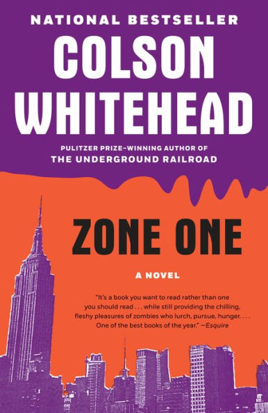 Zone One: A Novel