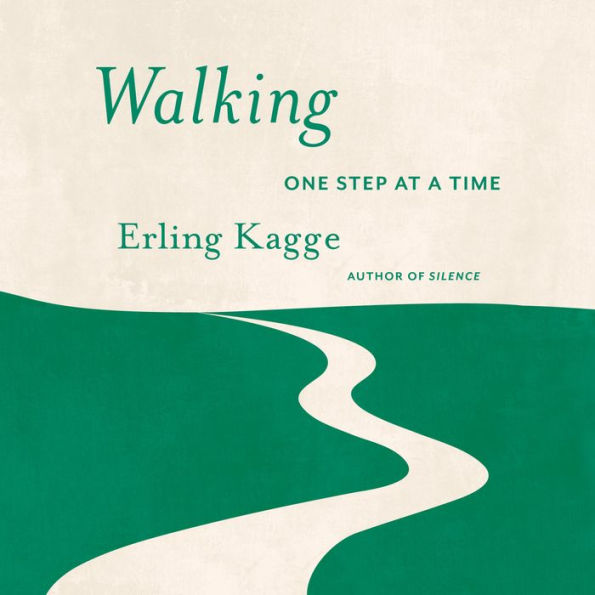 Walking: One Step At a Time