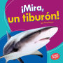 ¡Mira, un tiburón! (Look, a Shark!)