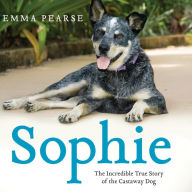 Sophie: The Incredible True Story of the Castaway Dog