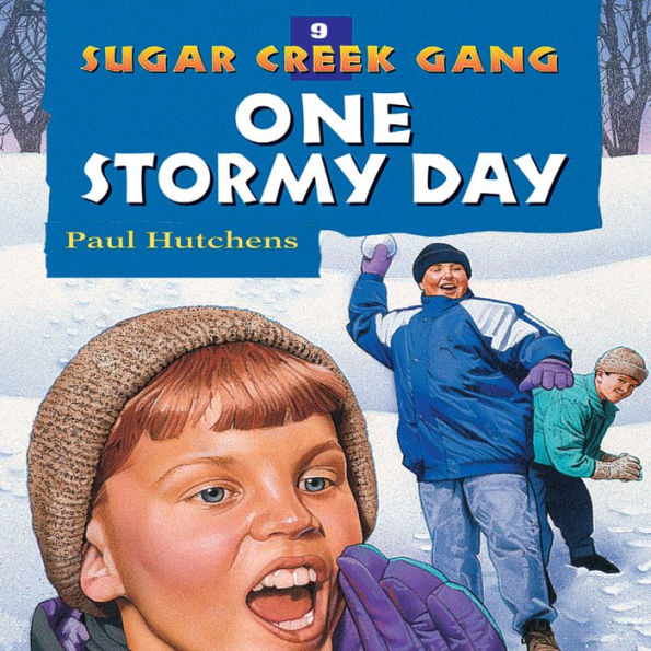 One Stormy Day (Sugar Creek Gang Series #9)