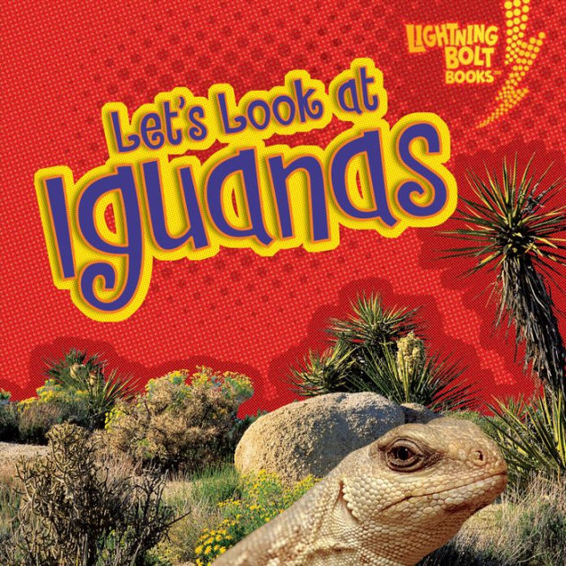 Let's Look at Iguanas by Judith Jango-Cohen, Intuitive | 2940171884208 ...