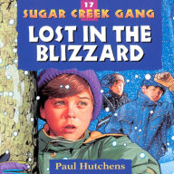 Lost in the Blizzard (Sugar Creek Gang Series #17)