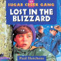 Lost in the Blizzard (Sugar Creek Gang Series #17)