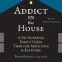 Addict in the House: A No-Nonsense Family Guide Through Addiction and Recovery