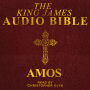 Amos: The Old Testament