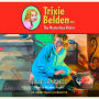 The Mysterious Visitor: Trixie Belden #4