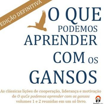 O Que Podemos Aprender Com os Gansos