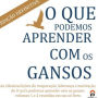 O Que Podemos Aprender Com os Gansos