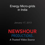 Energy Micro-grids in India