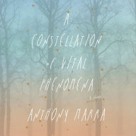 A Constellation of Vital Phenomena: A Novel